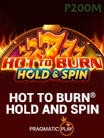 Hot To Burn Hold And Spin icon